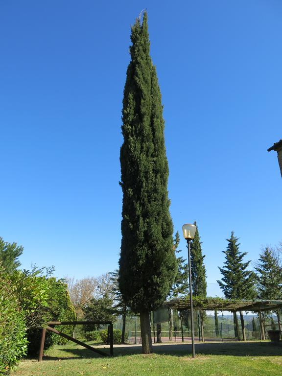 Agriturismo Il Palagetto بومارانسي المظهر الخارجي الصورة