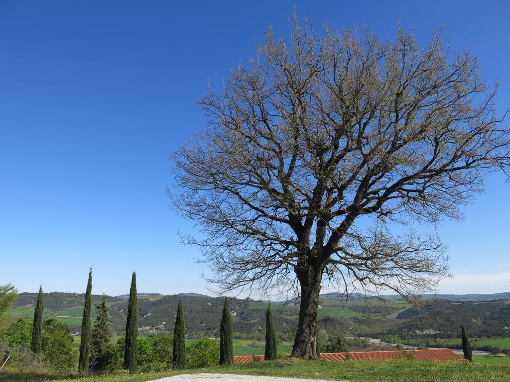Agriturismo Il Palagetto بومارانسي المظهر الخارجي الصورة